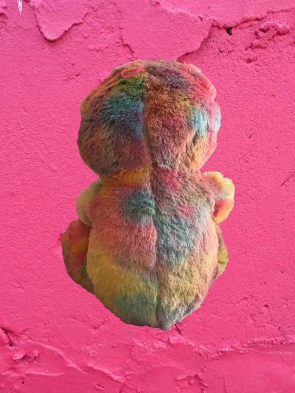 Rainbow 23